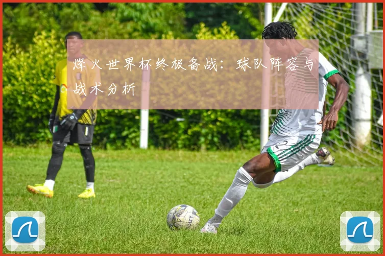 烽火世界杯终极备战：球队阵容与战术分析