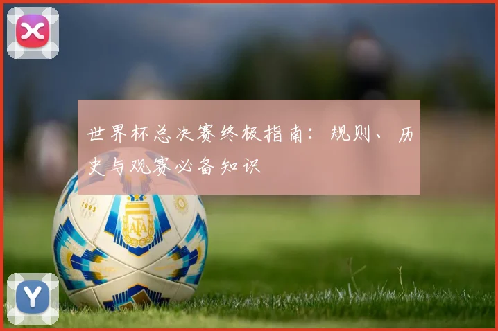 世界杯总决赛终极指南：规则、历史与观赛必备知识